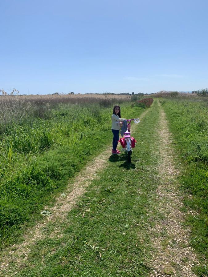 Agriturismoeloropizzuta Lido di Noto Esterno foto